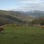 Esperanza